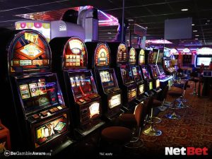 kuromipg - Login Bet Fácil